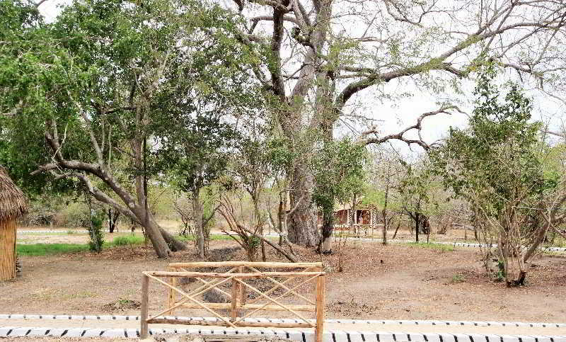 Отель Africa Safari Camp Mloka Экстерьер фото